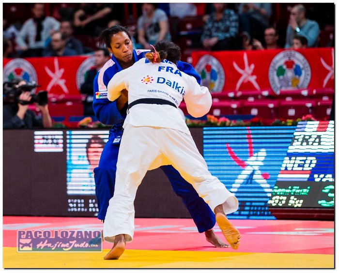 Paris 2014 by P.Lozano cat -63 kg (106)